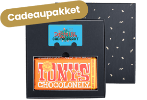 Cadeaupakket Tony's Chocolonely 'Karamel/zeezout'